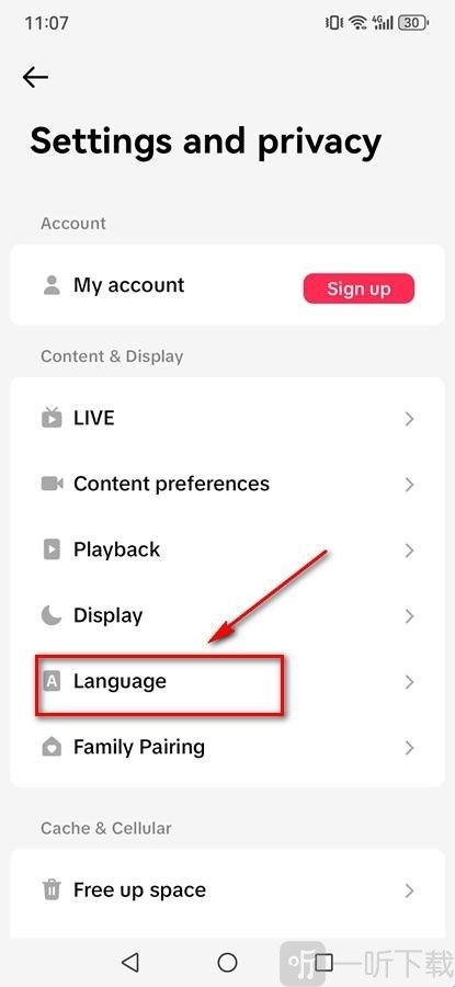 在菜单中点击Language选项