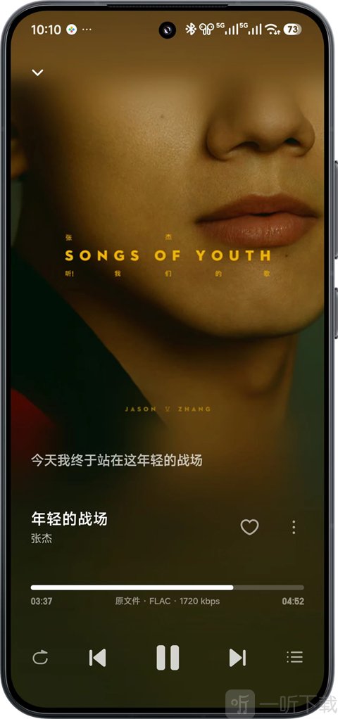 飞牛音乐app专辑歌手和歌词管理