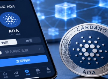 卡尔达诺入门教学 卡尔达诺新手怎么买