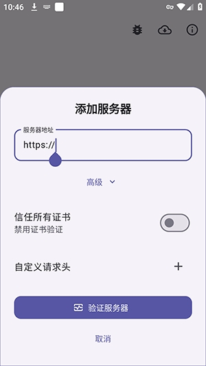 Storii高级选项自定义配置