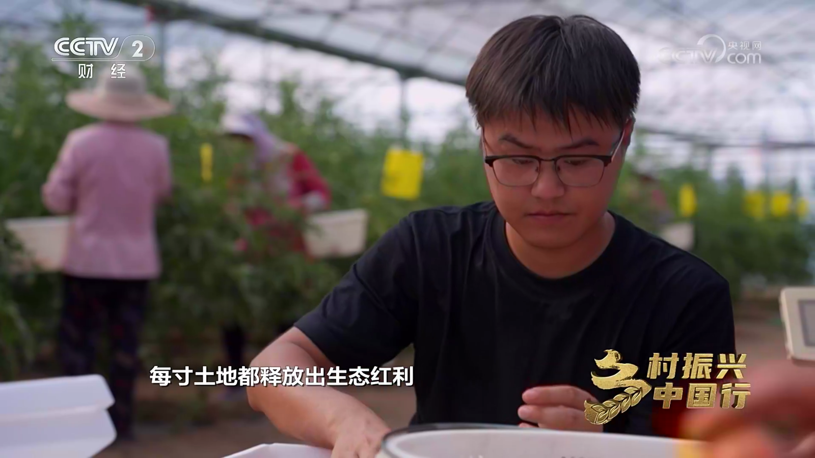 澜露直播