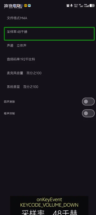 一个录制App权限设置截图