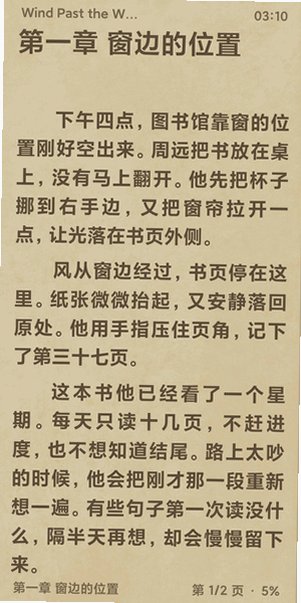 PacilRead阅读设置界面截图