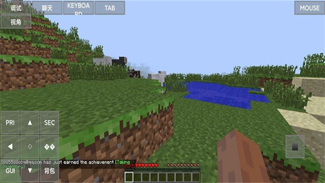 Minecraft java