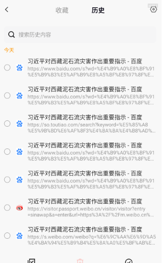 DeepS浏览器