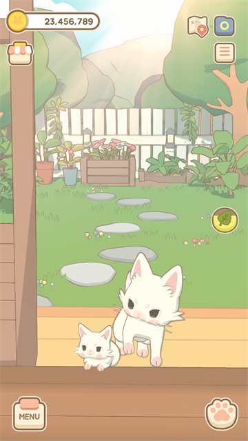 窗外的猫国际服