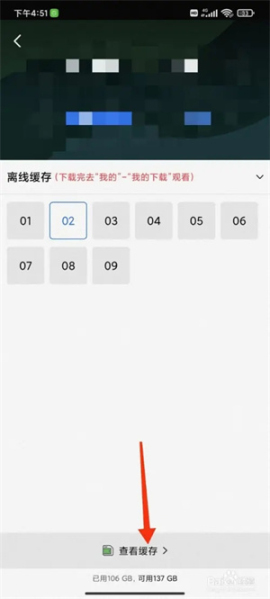 蓝狐影视