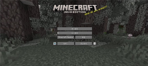 Minecraft java版进入世界教程