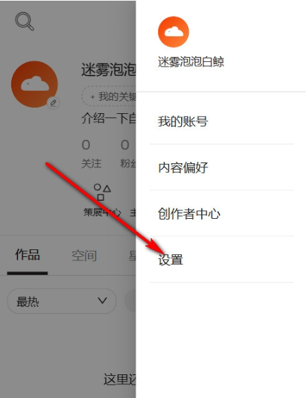 Copus设置功能入口
