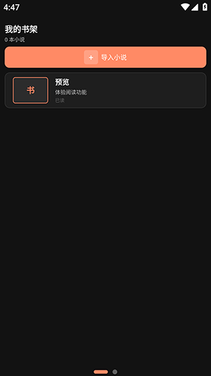 轻阅手表版导入小说界面截图