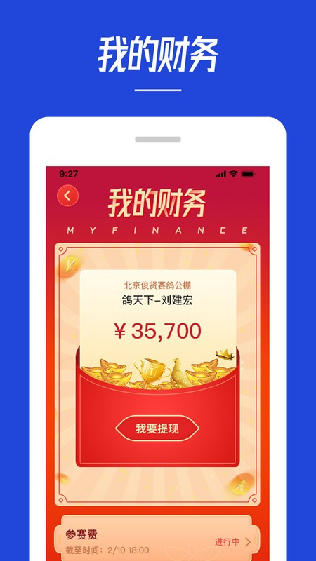 青鸽网赛事直播