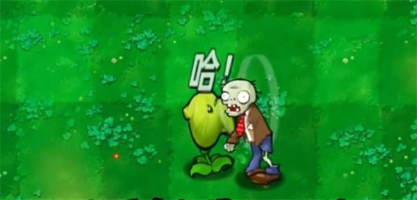 植物大战僵尸哈基米版哈气射手