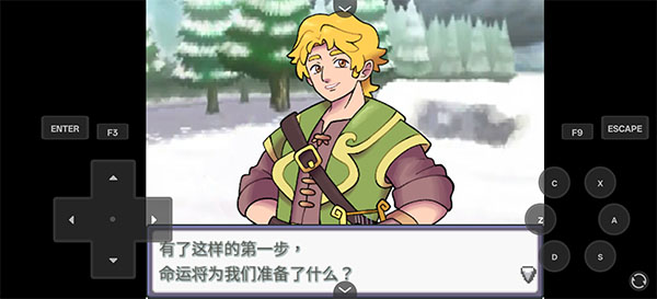 宝可梦Z