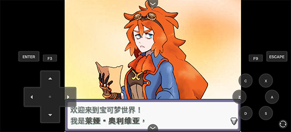 宝可梦Z