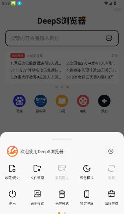 DeepS浏览器历史记录页面
