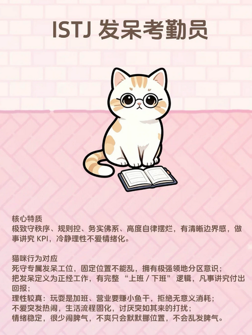 橘子小屋手游橘白猫
