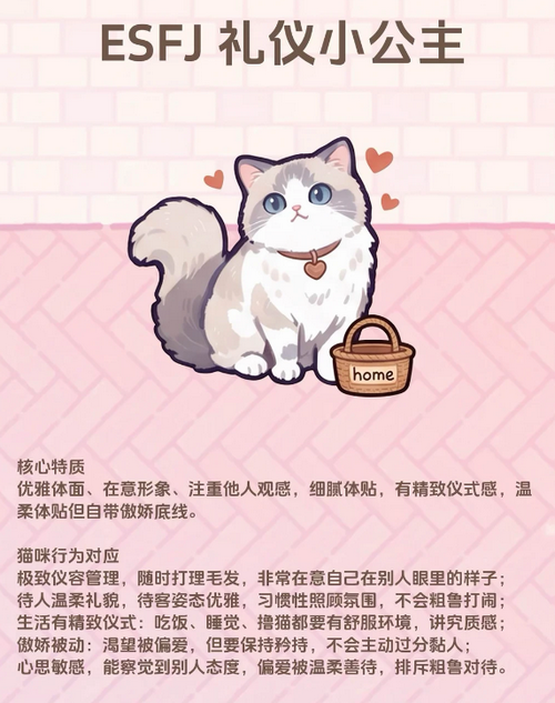 橘子小屋手游布偶猫