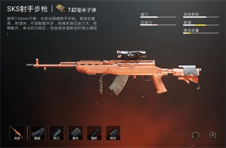 刺激战场国际服SKS
