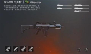 刺激战场国际服G36C