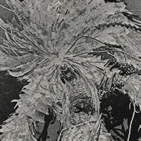 鬼武者剑之道百秽幻魔