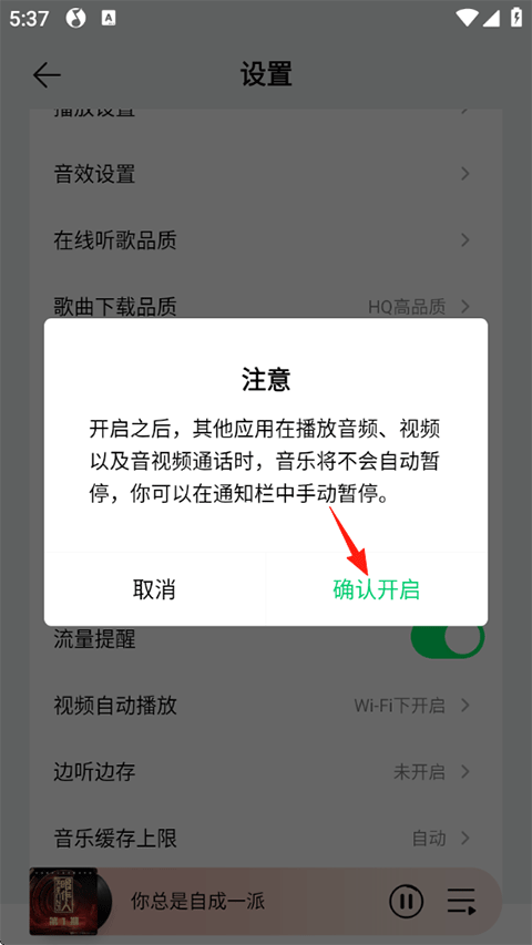 QQ音乐同时播放设置确认