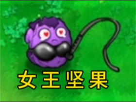 植物大战僵尸逆天版女王坚果图鉴