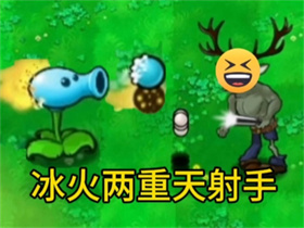 植物大战僵尸逆天版冰火两重天射手图鉴