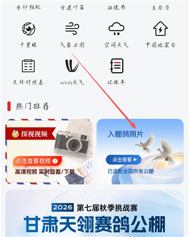 青鸽网查看入棚照片入口