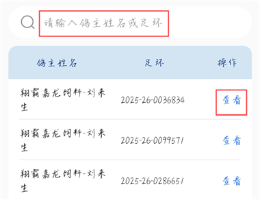 青鸽网搜索鸽子入棚照片