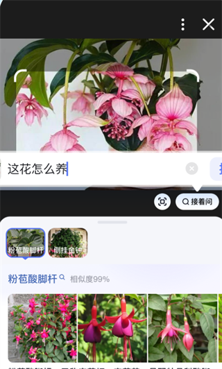 百度极速版拍照识图与图片内容查询功能