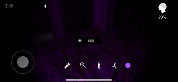 美琪疑案兰芝使用蓝蜡手电照射石头发现藤蔓线索