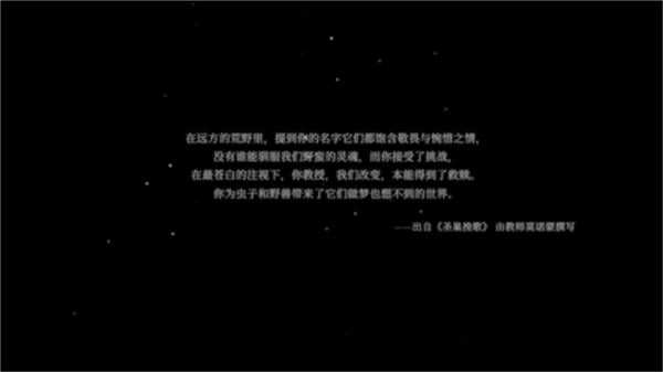空洞骑士堂吉诃德背景故事介绍