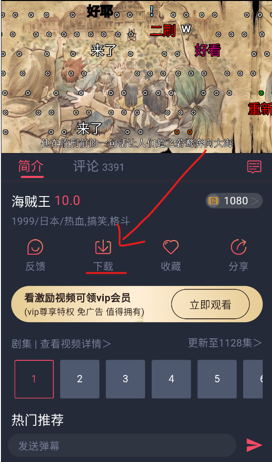 heibai弹幕动漫播放页面与视频下载按钮