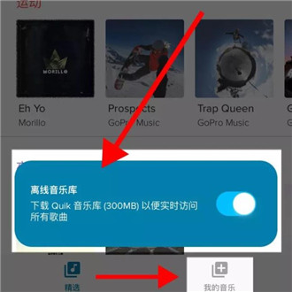 GoPro Quik音乐库