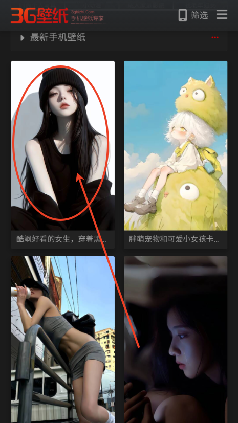 3G壁纸app选择壁纸截图
